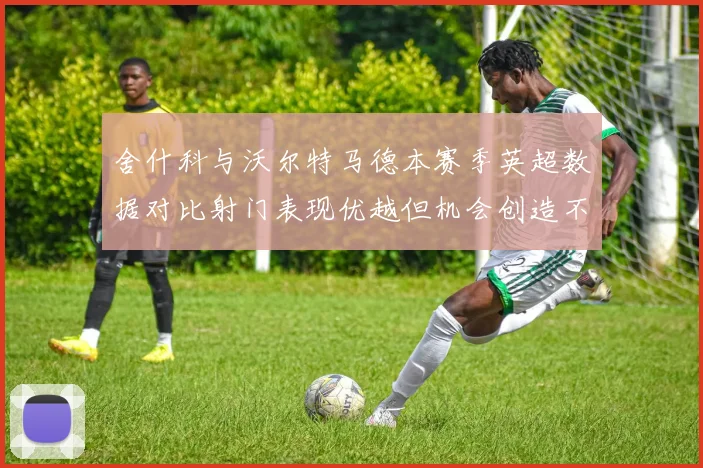 舍什科与沃尔特马德本赛季英超数据对比射门表现优越但机会创造不足