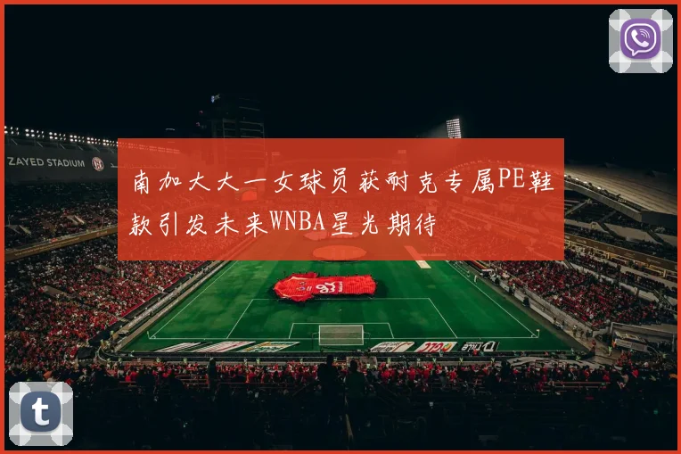 南加大大一女球员获耐克专属PE鞋款引发未来WNBA星光期待